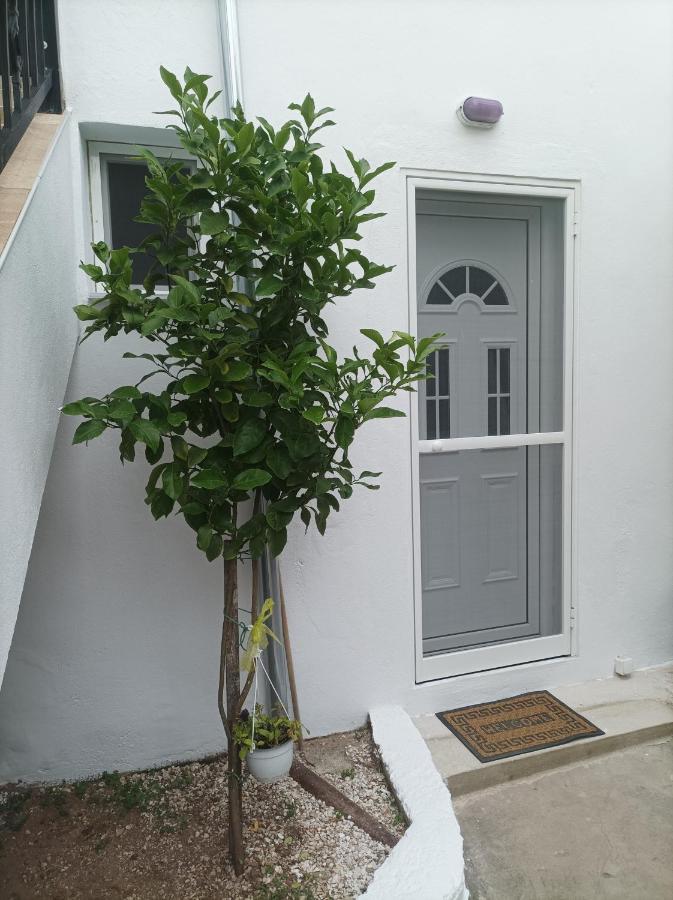 Vila Georgechristi House Skála Kallirákhis Exteriér fotografie